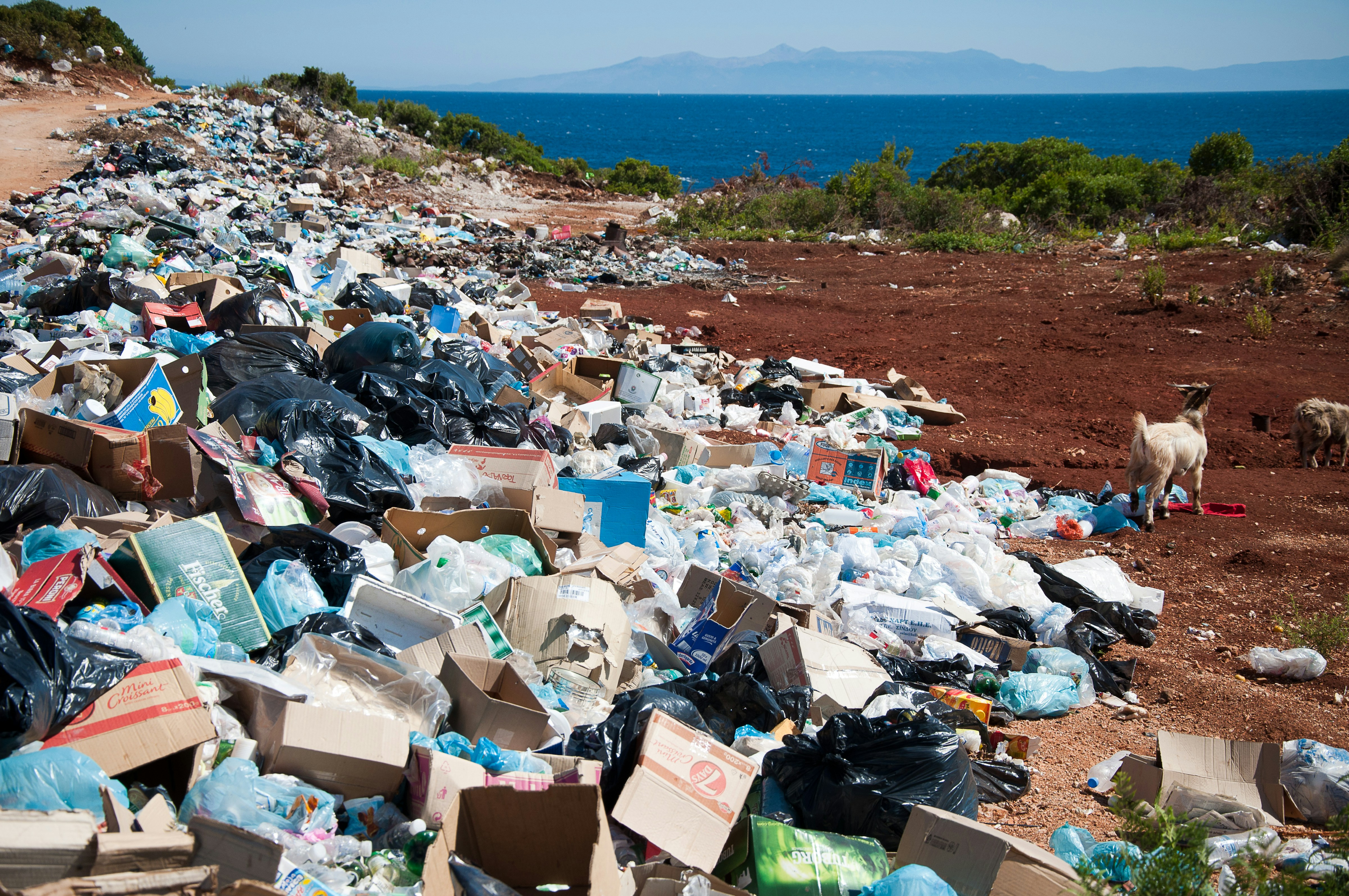 Lesson Plan 7 - Waste Reduction Challenge 