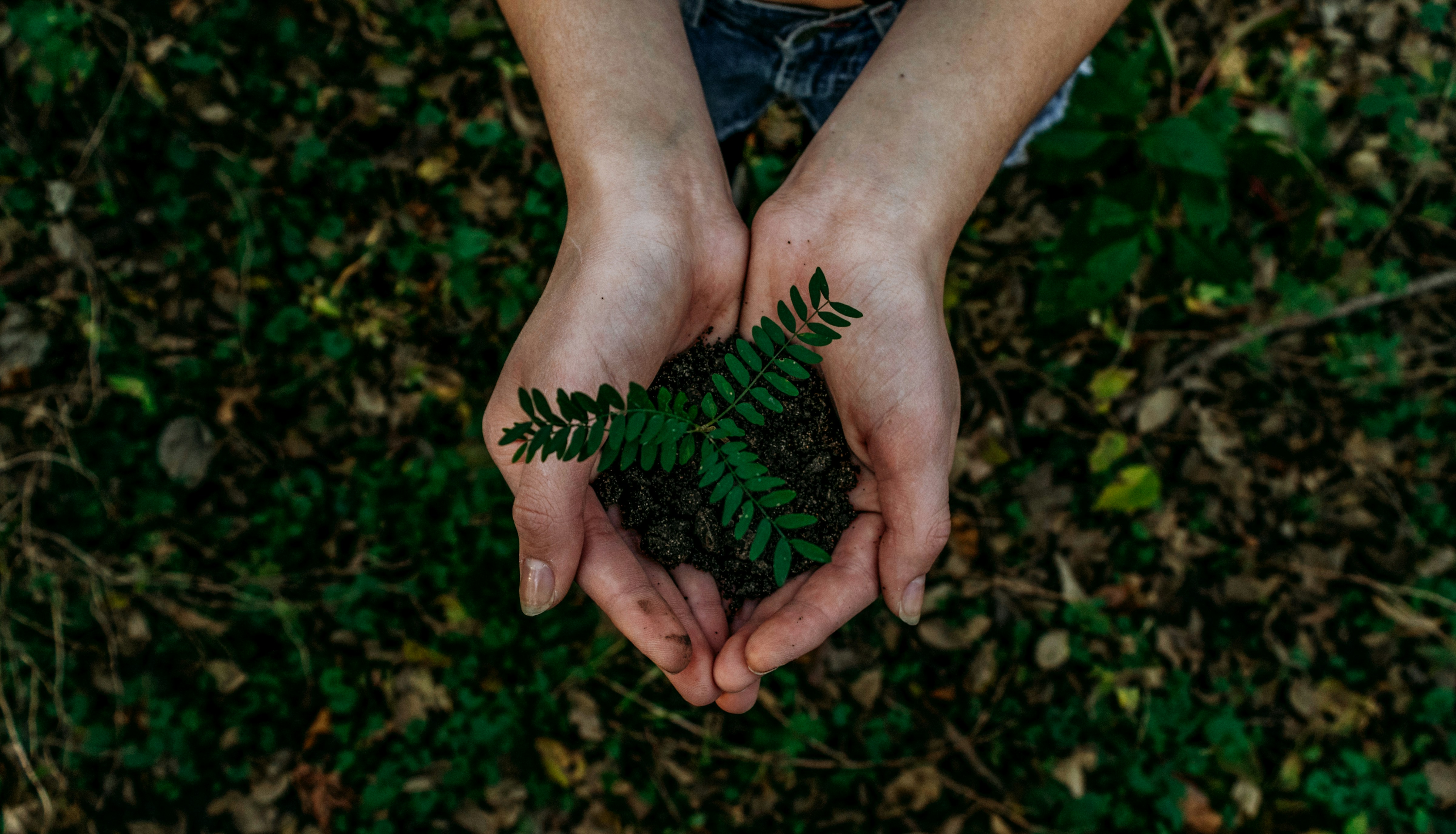Lesson Plans 0: Introduction to Circular Economy 